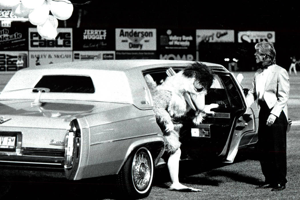 SAN DIEGO CHICKEN APRIL 27, 1990 Famous Chicken arrives at Cashman Field in Chauffeur driven Cadillac Limousine with a balloon fanfare. (WAYNE KODEY/LAS VEGAS REVIEW-JOURNAL)