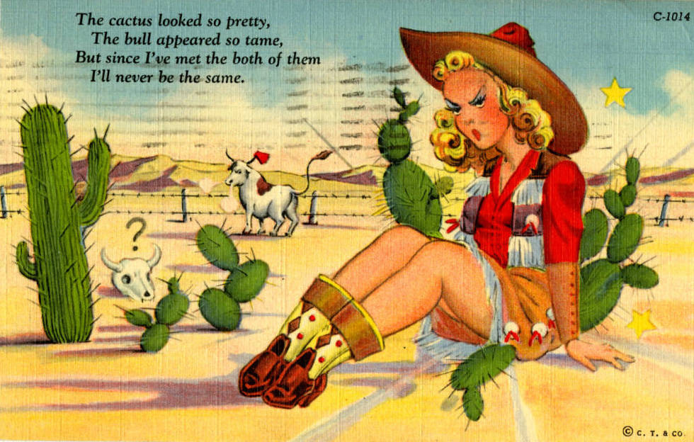 igital ID pho016458 Title Postcard of a cowgirl and cacti in the southwest desert, circa 1930s to 1950s Description A joke Card with a poem about the cactus and cowgirl pictured in postcard. Cu ...