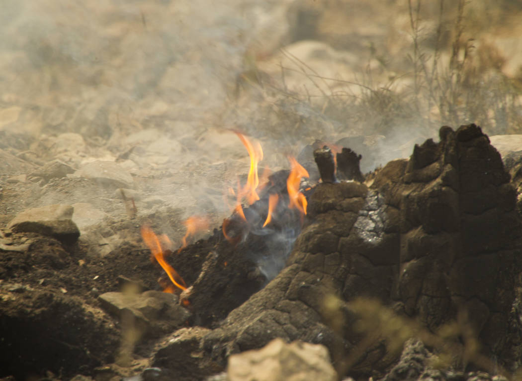 A stump burns at the Rainbow subdivision in Mt. Charleston on Tuesday, July 9, 2013. (Jeff Scheid/Las Vegas Review-Journal)