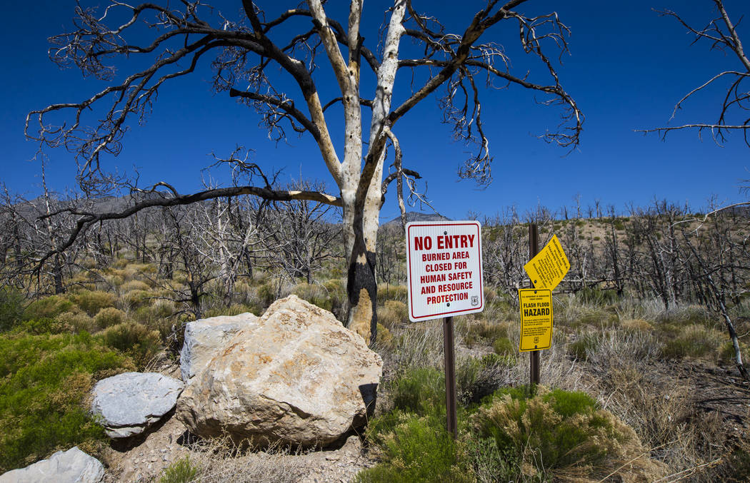 Signs along Harris Mountain Road display warnings following the Carpenter 1 fire in the Spring Mountains National Recreation Area on Friday, July 6, 2018. Chase Stevens Las Vegas Review-Journal @c ...