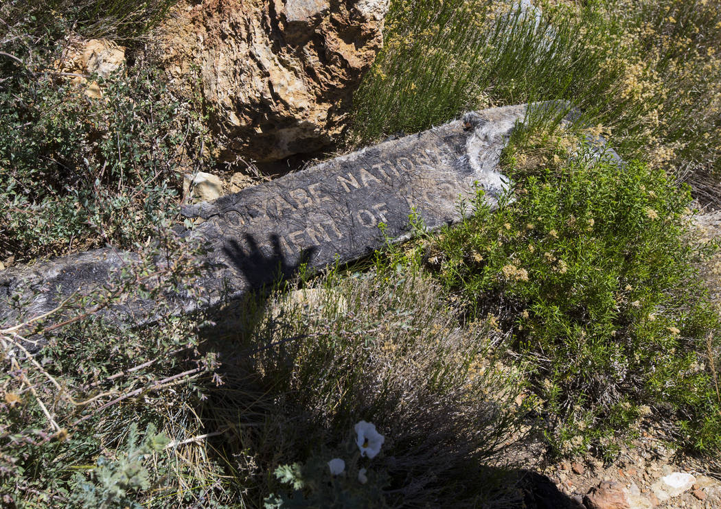 A sign that was burned in the Carpenter 1 fire lies in the ground near a trail for Griffith Peak in the Spring Mountains National Recreation Area on Friday, July 6, 2018. Chase Stevens Las Vegas R ...