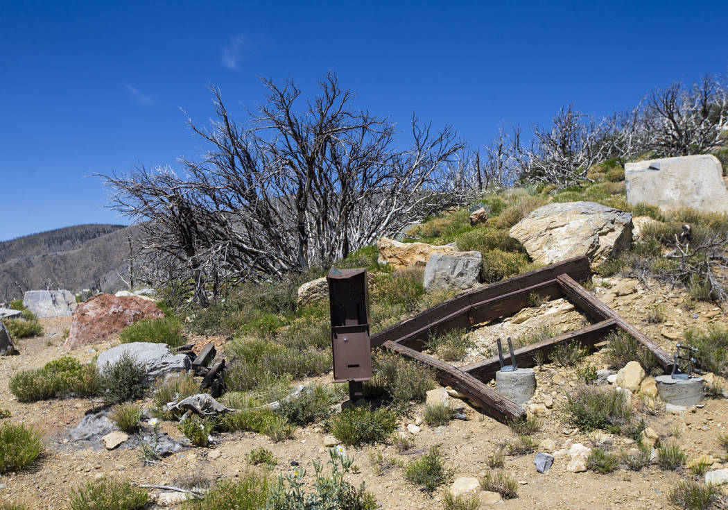 The remains of a trailhead for Griffith Peak in the Spring Mountains National Recreation Area on Friday, July 6, 2018. Chase Stevens Las Vegas Review-Journal @csstevensphoto
