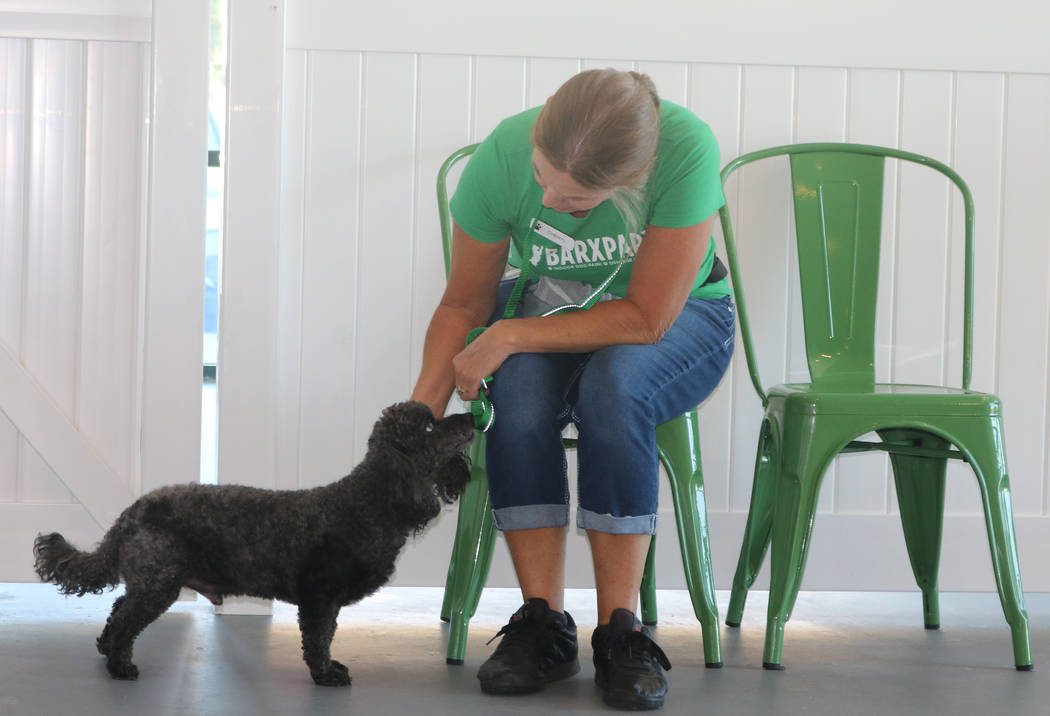 An employee pets a dog playing at Barx Parx, a new indoor dog park, in Henderson on Wednesday, July 4, 2018. (Rochelle Richards/Las Vegas Review-Journal) @RoRichards24