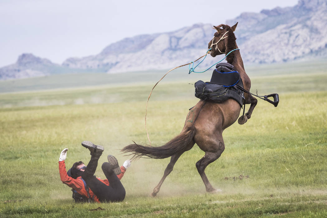 A race like no other Mongol Derby is part marathon, part rodeo Las