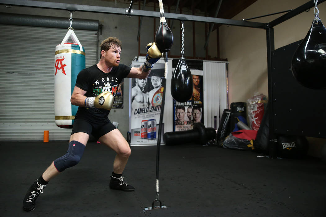 canelo reebok shoes