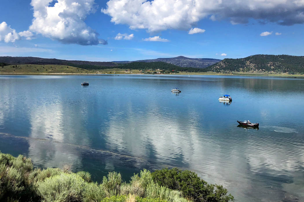 Panguitch Lake, a 1,250-acre impoundment east of Cedar City in Utah’s Color Country, long has been a favorite destination for Southern Nevada anglers seeking an adventurous escape from summer te ...