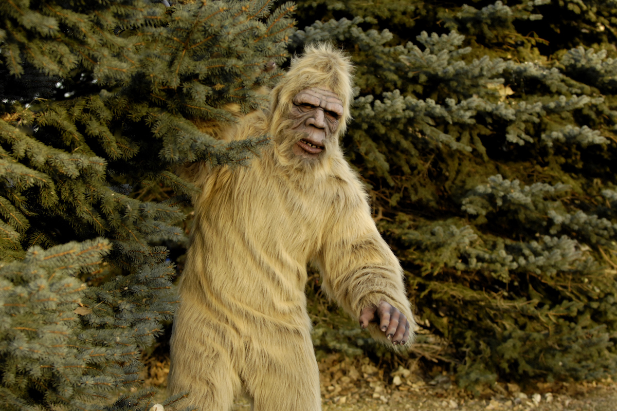 ‘Bigfoot erotica’ becomes controversy in Virginia congressional race