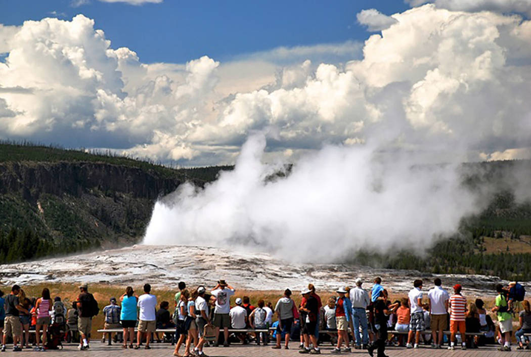 How far is yellowstone national park from las vegas nevada Yellowstone National Park Courtesy Las Vegas Review Journal