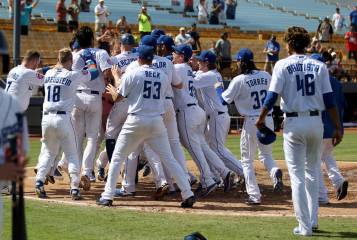 51s cashman