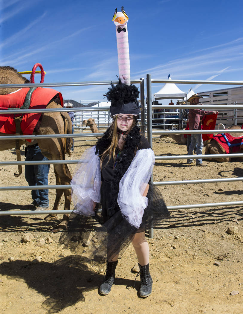 Sophia Dickey, 12, of Mancos, Colo., poses in her ostrich costume during the first day of the 59th annual International Camel & Ostrich Races in Virginia City on Friday, Sept. 7, 2018. Chase Steve ...