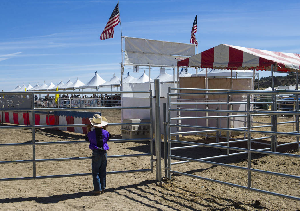 Ten-year-old Lian Hendrick looks out at the arena during the first day of the 59th annual International Camel & Ostrich Races in Virginia City on Friday, Sept. 7, 2018. Chase Stevens Las Vegas Rev ...