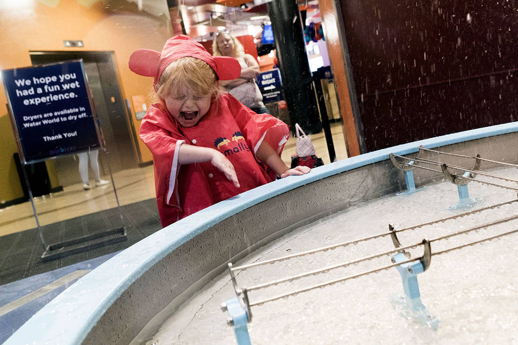 Las Vegas children’s museum celebrates birthday — PHOTOS Downtown