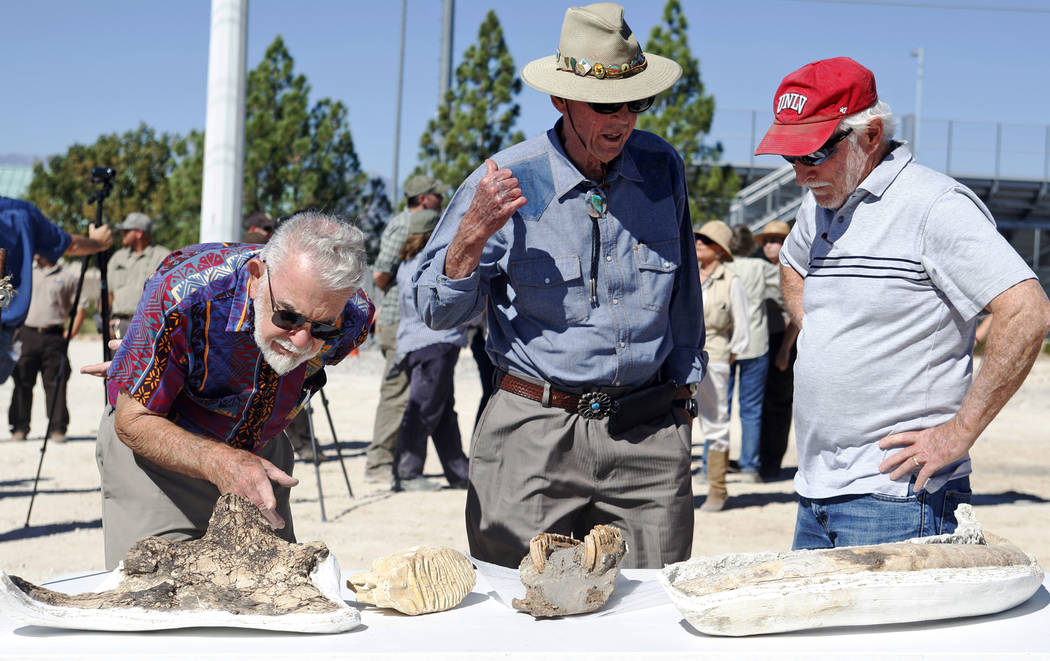 Got fossils? New state park in North Las Vegas does Las Vegas Review