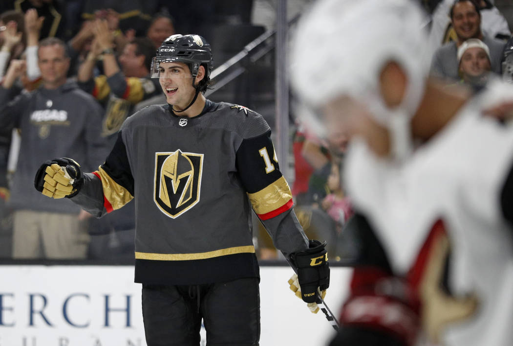 Las Vegas Golden Knights Potential NHL Roster 2017 