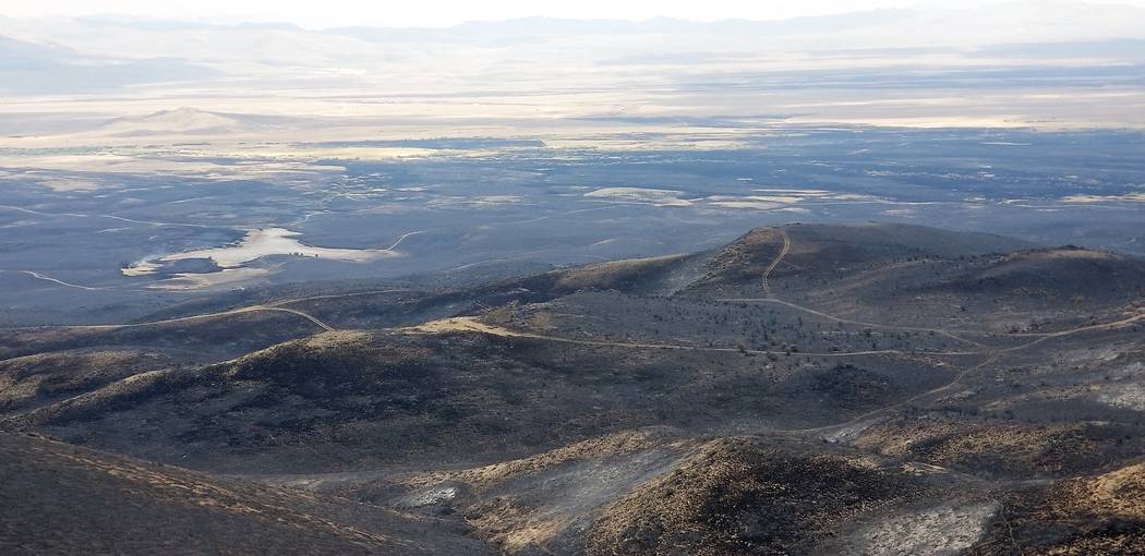 An aerial view of damage caused by the now extinguished South Sugarloaf Fire in Elko county. Public lands managed by the U.S. Forest Service are now open to public access, good news for big game t ...