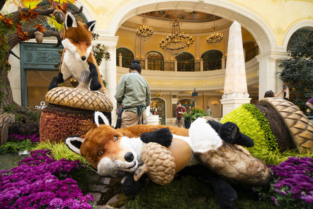 Bellagio Hotel Conservatory & Botanical Gardens - License