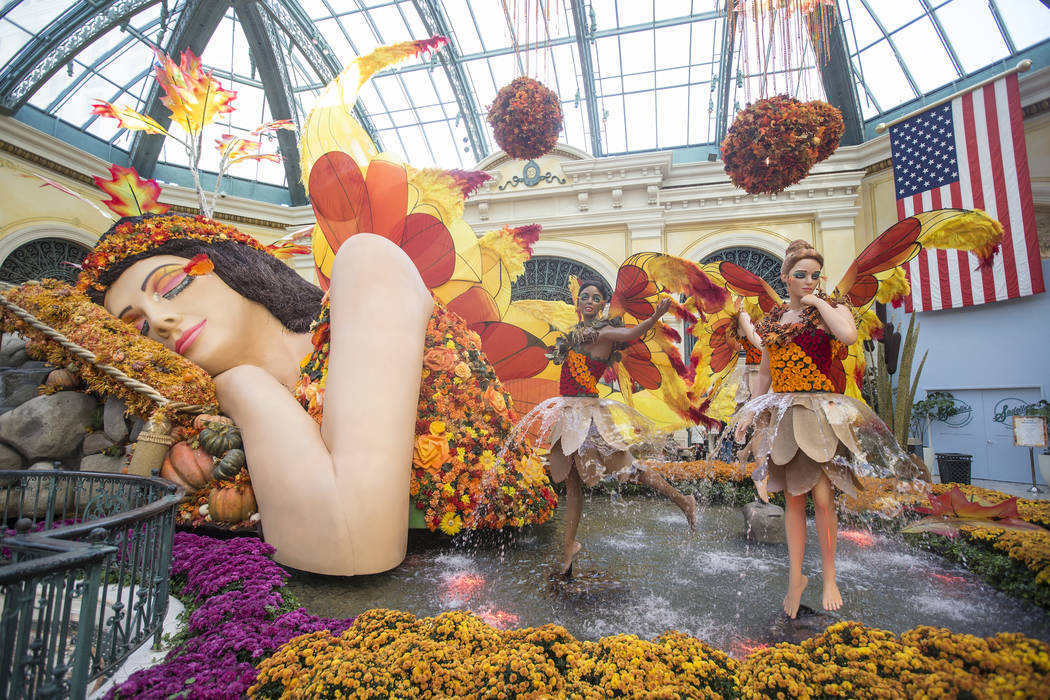 "Falling Asleep," Bellagio Conservatory's fall-themed garden pictured on Tuesday, Oct. 2, 2018, at Bellagio, in Las Vegas. Benjamin Hager Las Vegas Review-Journal @benjaminhphoto