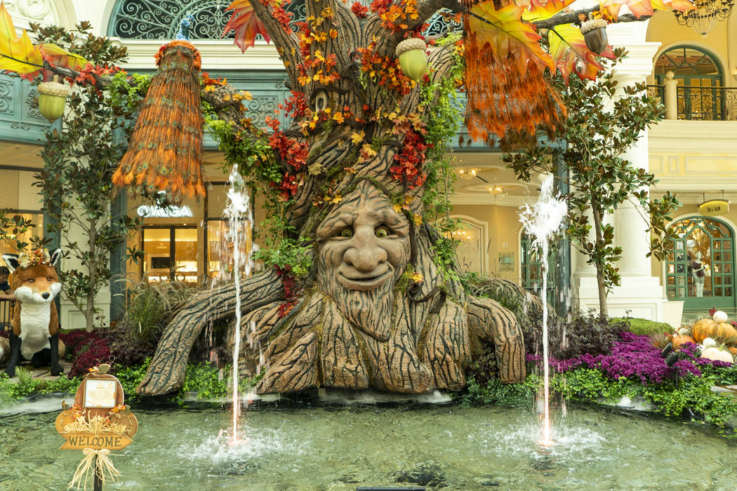 Bellagio Conservatory Is A Force Of Nature Las Vegas Review Journal