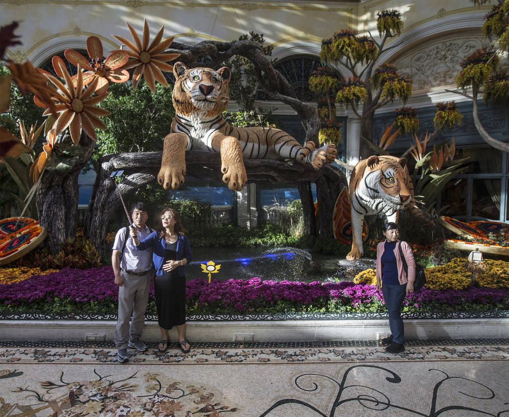 "Falling Asleep," Bellagio Conservatory's fall-themed garden pictured on Tuesday, Oct. 2, 2018, at Bellagio, in Las Vegas. Benjamin Hager Las Vegas Review-Journal @benjaminhphoto