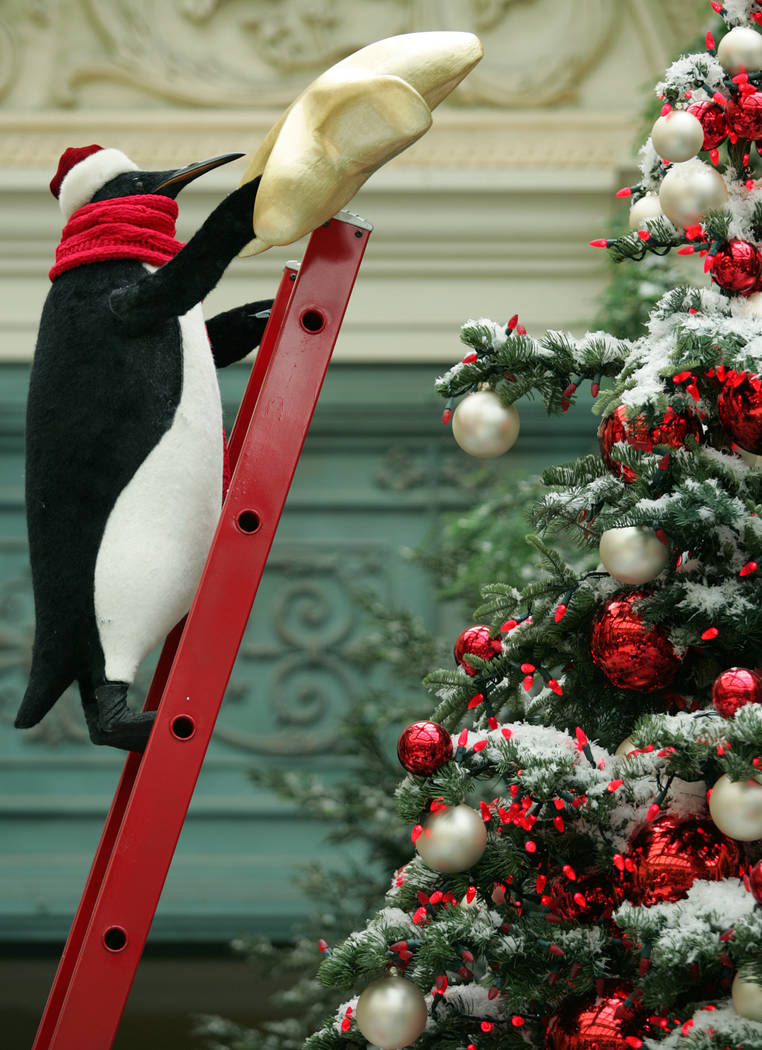 RJ FILE*** SARA TRAMIEL/REVIEW-JOURNAL An animatronic Emperor penguin appears to reach out to add a star to a Christmas tree, which is part of the holiday display, at the Bellagio Conservatory i ...
