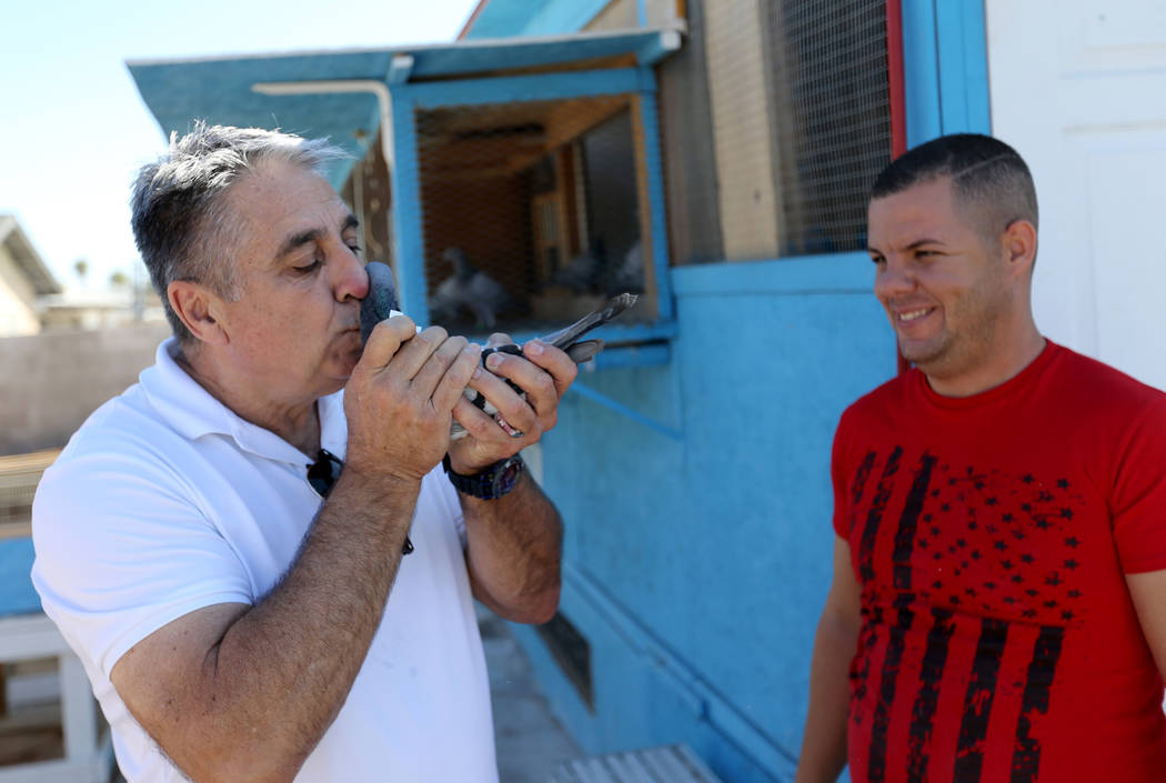 Vincent Valenzuela, left, and Rasiel Martinez check out a pigeon that just arrived in Las Vegas from Victorville, Calif. on the Cher Ami leg of the Racing Pigeon Cross Country Relay Thursday, Oct. ...