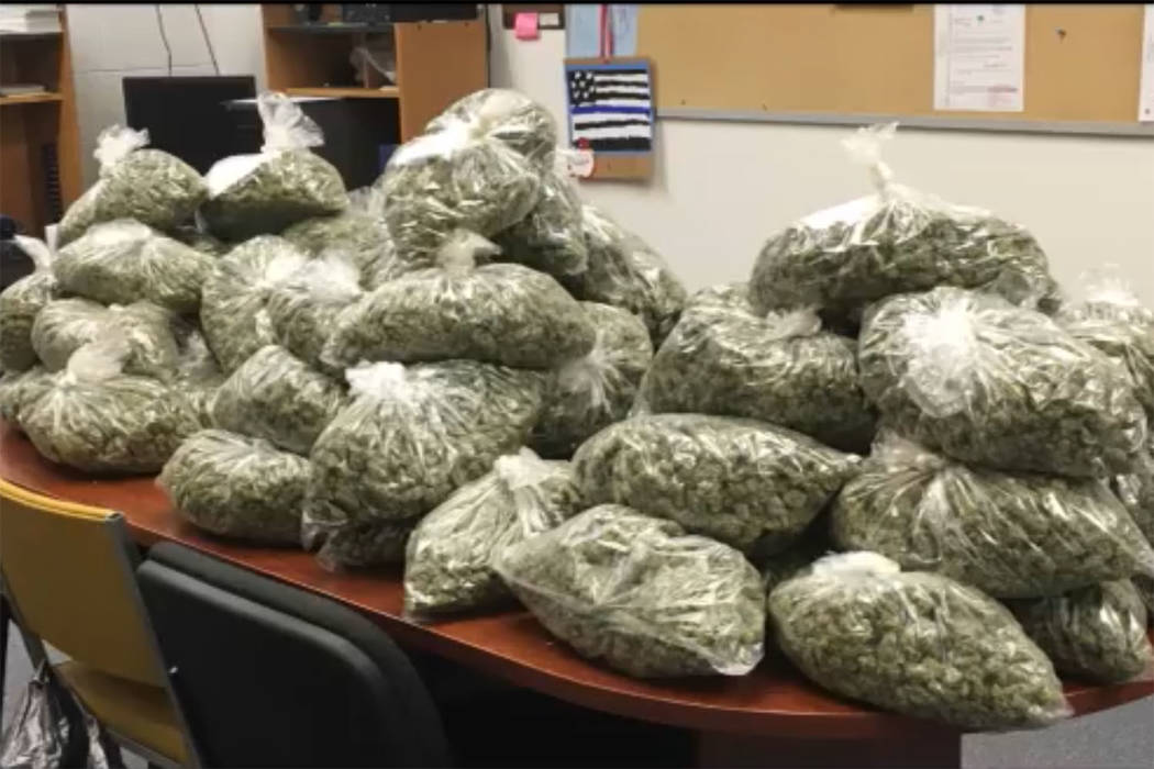 The Nye County Sheriff’s Office seized more than $20 million worth of illegally grown marijuana in a September bust. (Nye County Sheriff's Office/Facebook)