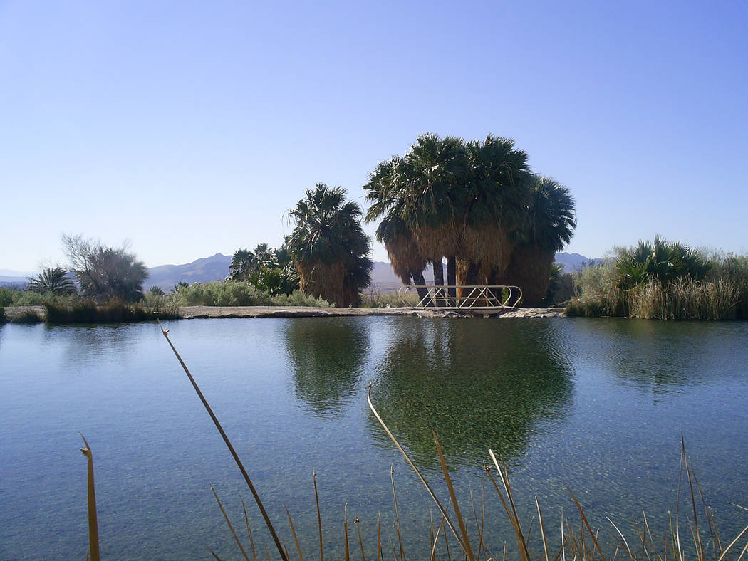 Rogers Spring can be found along Northshore Road in Lake Mead NRA. (Deborah Wall/Review-Journal)