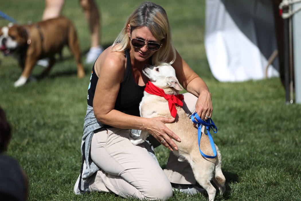 Christy Stevens, president for Hearts Alive Village, with Tonic, a terrier-mix dog up for adoption, during the Family, Fur & Fun Festival at Exploration Park in Las Vegas, Saturday, Oct. 13, 2 ...