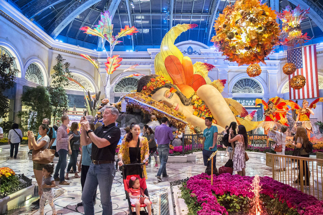 "Falling Asleep," Bellagio Conservatory's fall-themed garden on Tuesday, Oct. 2, 2018, in Las Vegas. (Benjamin Hager/Las Vegas Review-Journal) @benjaminhphoto