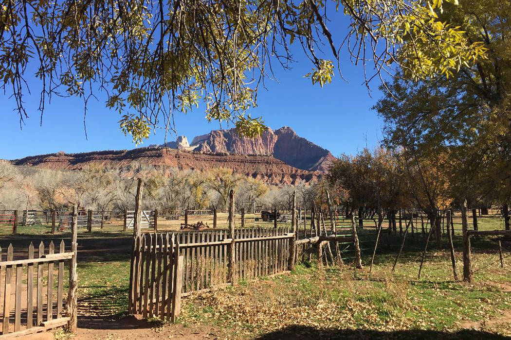 Explore the ghost town of Grafton, Utah, outside of Zion National Park Deborah Wall Local