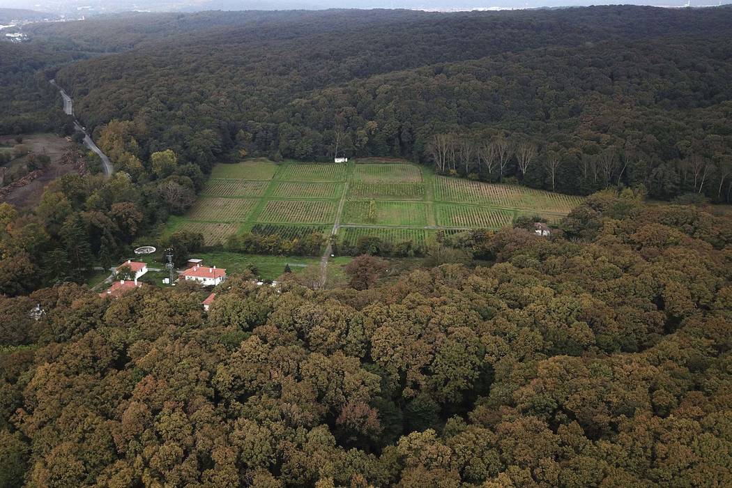 An aerial view of the Belgrade Forest in Istanbul, Friday, Oct. 19, 2018. A Turkish official says investigators are assessing the possibility whether the remains of missing Saudi journalist Jamal ...