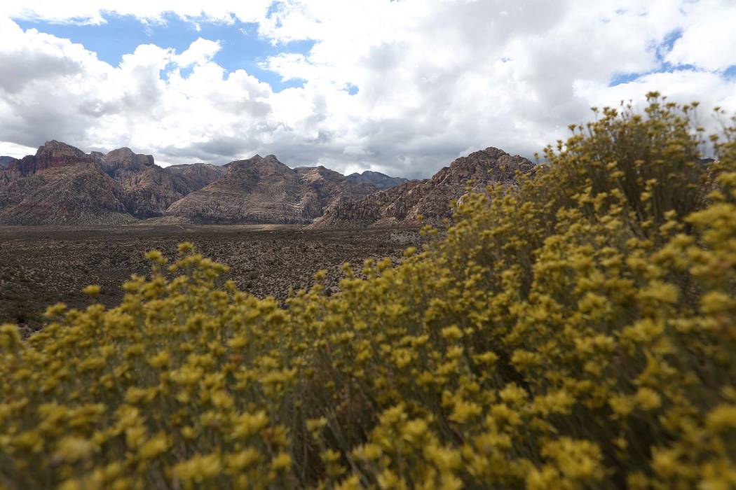 View of Red Rock Canyon in Las Vegas. (Erik Verduzco/Las Vegas Review-Journal) @Erik_Verduzco