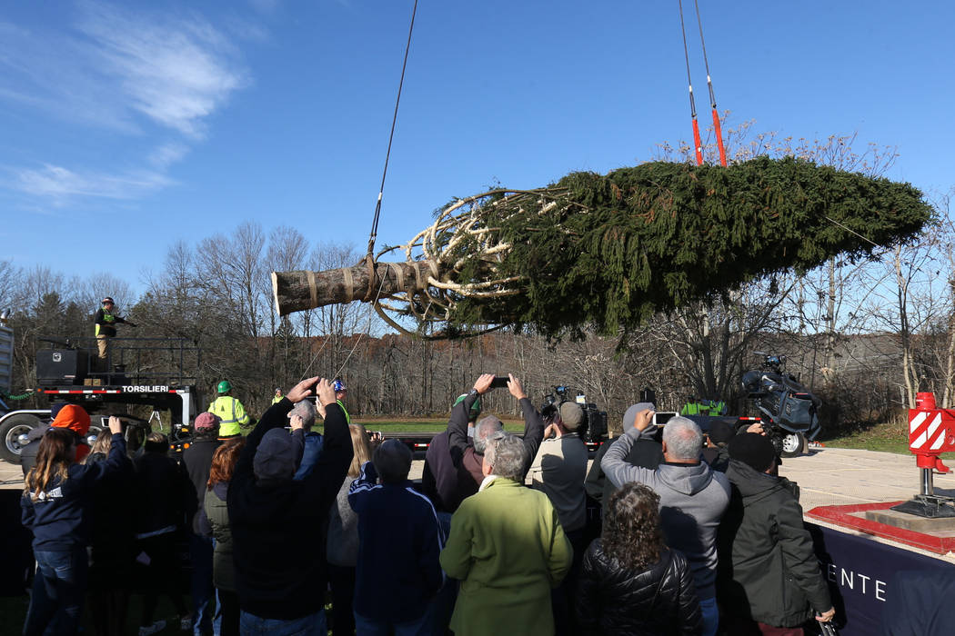 The Rockefeller Center Christmas tree is hoisted by crane to a flatbed truck, Thursday, Nov. 5, 2018 in Wallkill, N.Y. It will be transported to Manhattan where it will be erected at Rockefeller C ...