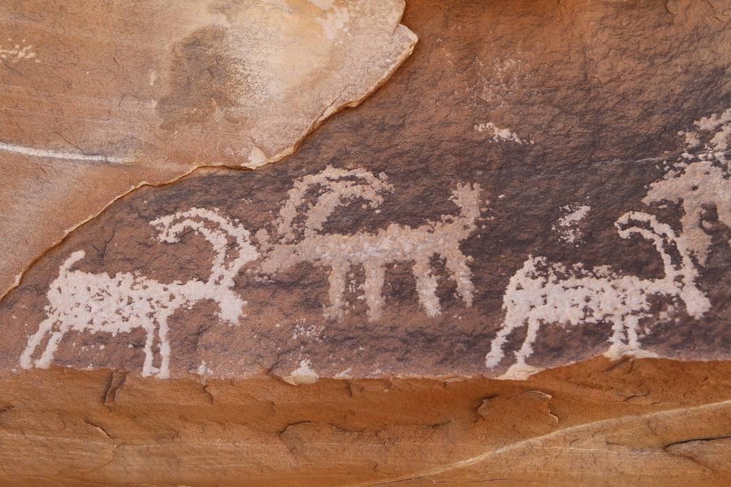 Petroglyphs at Gold Butte National Monument on Tuesday, Jan. 17, 2017, in Gold Butte, Nevada. (Christian K. Lee/Las Vegas Review-Journal)