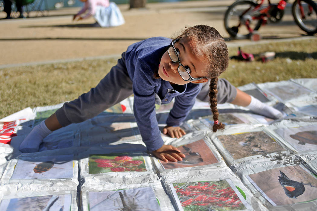 Isla Hunter-Roy, 4, plays Twister with images of animals and plants to learn about birds at a booth at Migratory Bird Day at Sunset Park in Las Vegas, Sunday, Nov. 18, 2018. Different organization ...