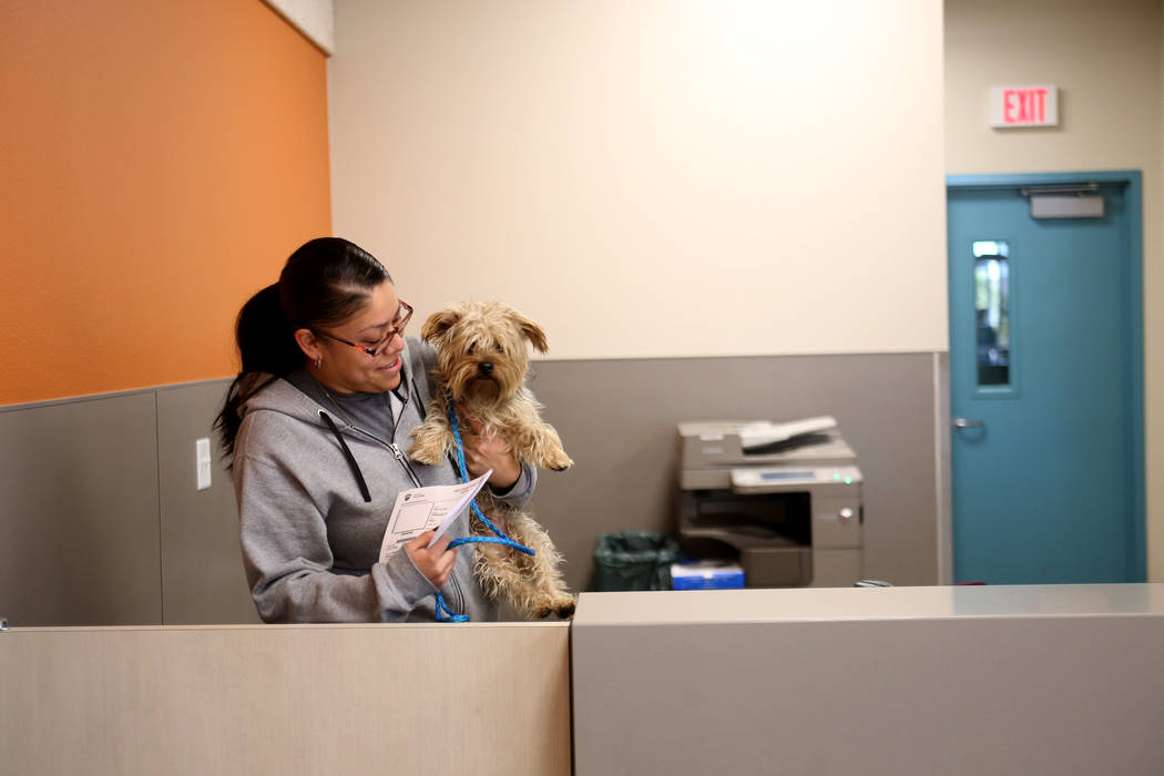 Admissions Counselor Maria Salazar brings a lost dog to the back to be cared for at the Lost & Found lobby at The Animal Foundation in Las Vegas, Tuesday, Nov. 27, 2018. The Animal Foundation ...
