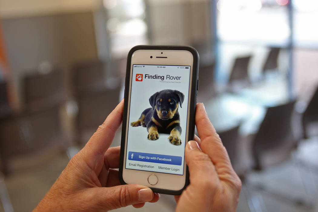 Spokesperson Kelly Leahy holds her phone showing an app called Finding Rover that The Animal Foundation has begun using to help connect lost dogs with owners at the Lost & Found lobby at the A ...