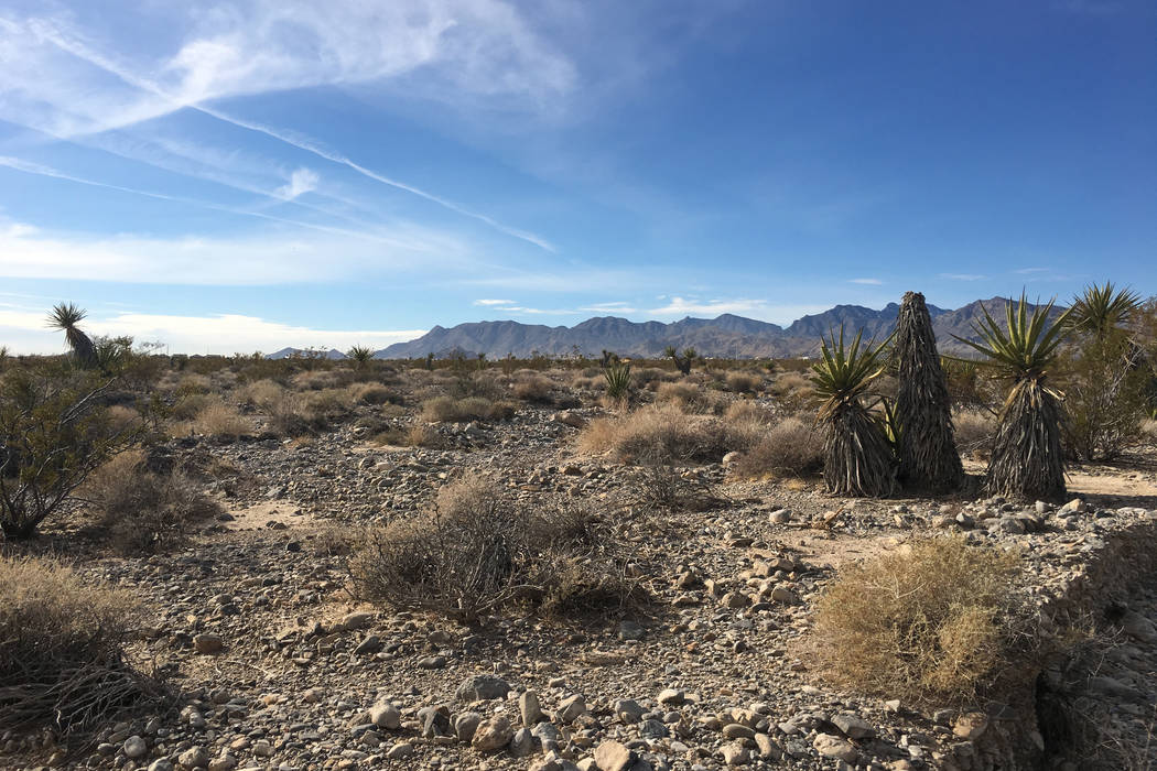 Station Casinos bought about 40 acres of land, some of which is seen here on Tuesday, Nov. 20, 2018, in Las Vegas' Skye Canyon community for $36 million. (Eli Segall/Las Vegas Review-Journal)