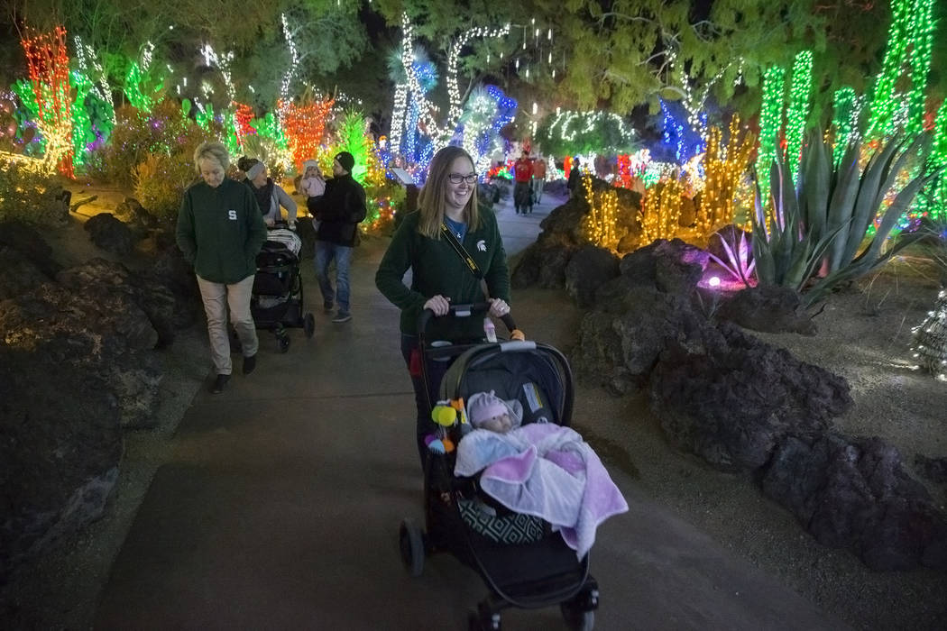 Ethel M’s holiday cactus garden lights up the Las Vegas Valley — VIDEO