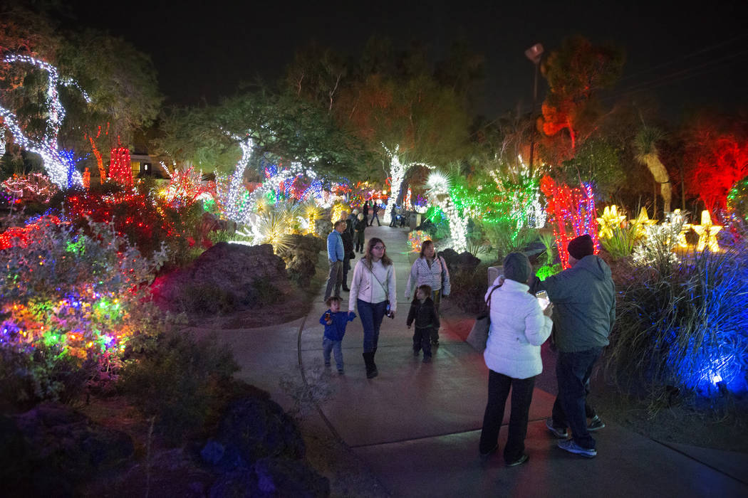 Ethel M S Holiday Cactus Garden Lights Up The Las Vegas Valley