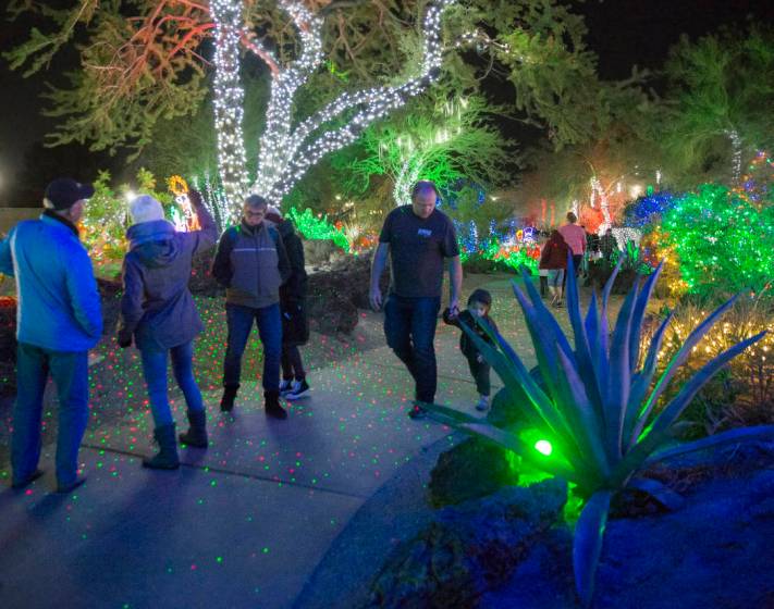 Ethel M’s holiday cactus garden lights up the Las Vegas Valley — VIDEO