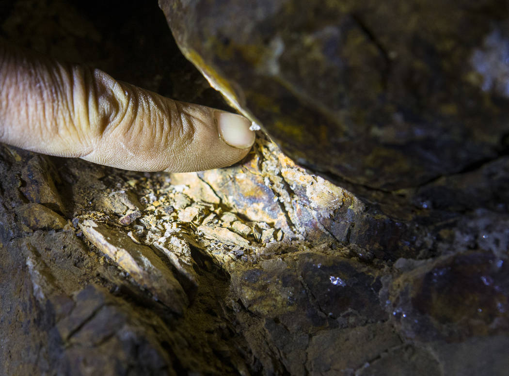 Caden Gould of Genoa points out the different minerals in an old mine in search of vintage denim and other antiquities in south Douglas County on Thursday, Oct. 11, 2018. Mines in the area date as ...