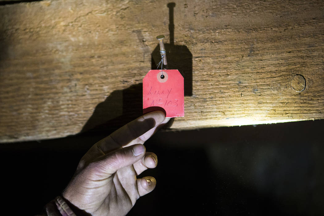 Caden Gould of Genoa looks at a note with the text "Lilly No. 103" in an old mine while searching for vintage denim and other antiquities in south Douglas County on Thursday, Oct. 11, 20 ...