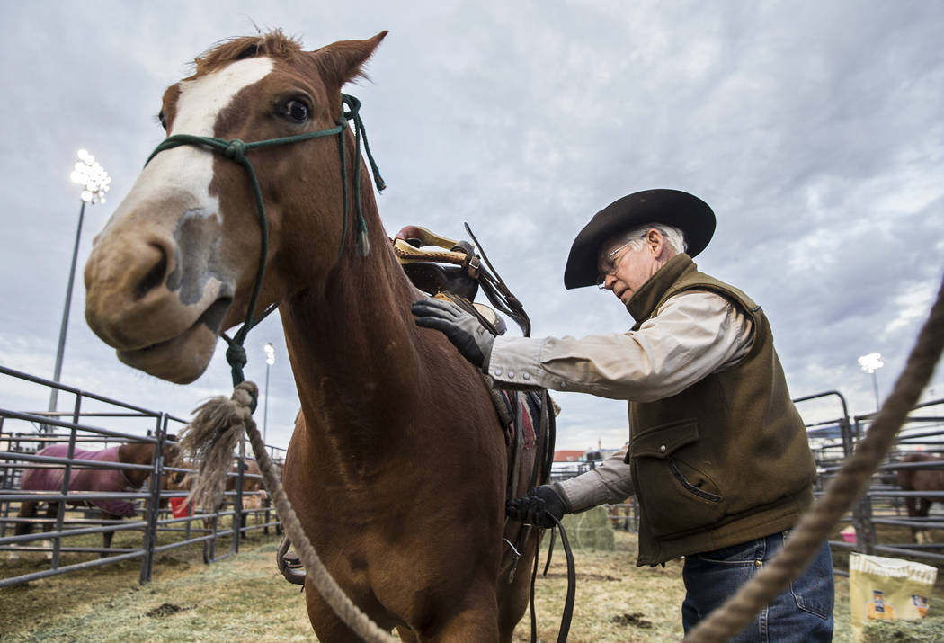 South Texas native Bobby Berger preps saddle horses on Tuesday, Dec. 4, 2018, at the UNLV Intramural Field, in Las Vegas. Benjamin Hager Las Vegas Review-Journal