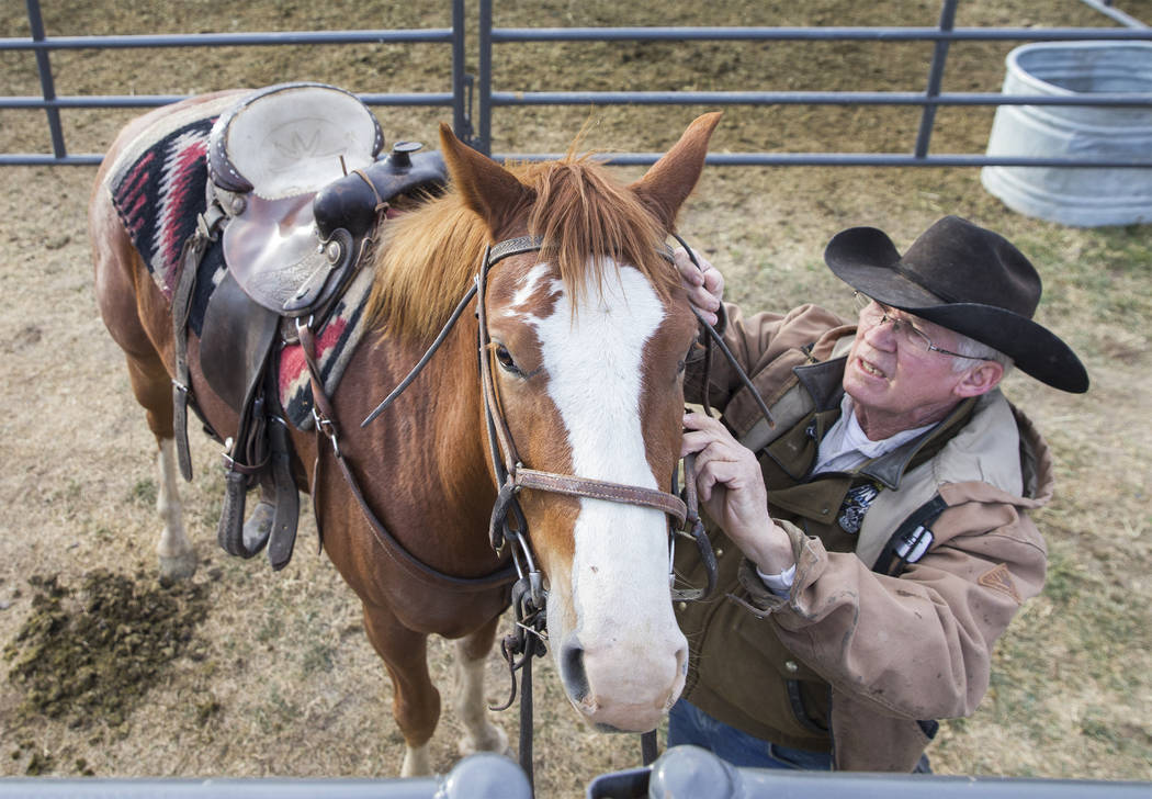 South Texas native Bobby Berger preps saddle horses on Tuesday, Dec. 4, 2018, at the UNLV Intramural Field, in Las Vegas. Benjamin Hager Las Vegas Review-Journal