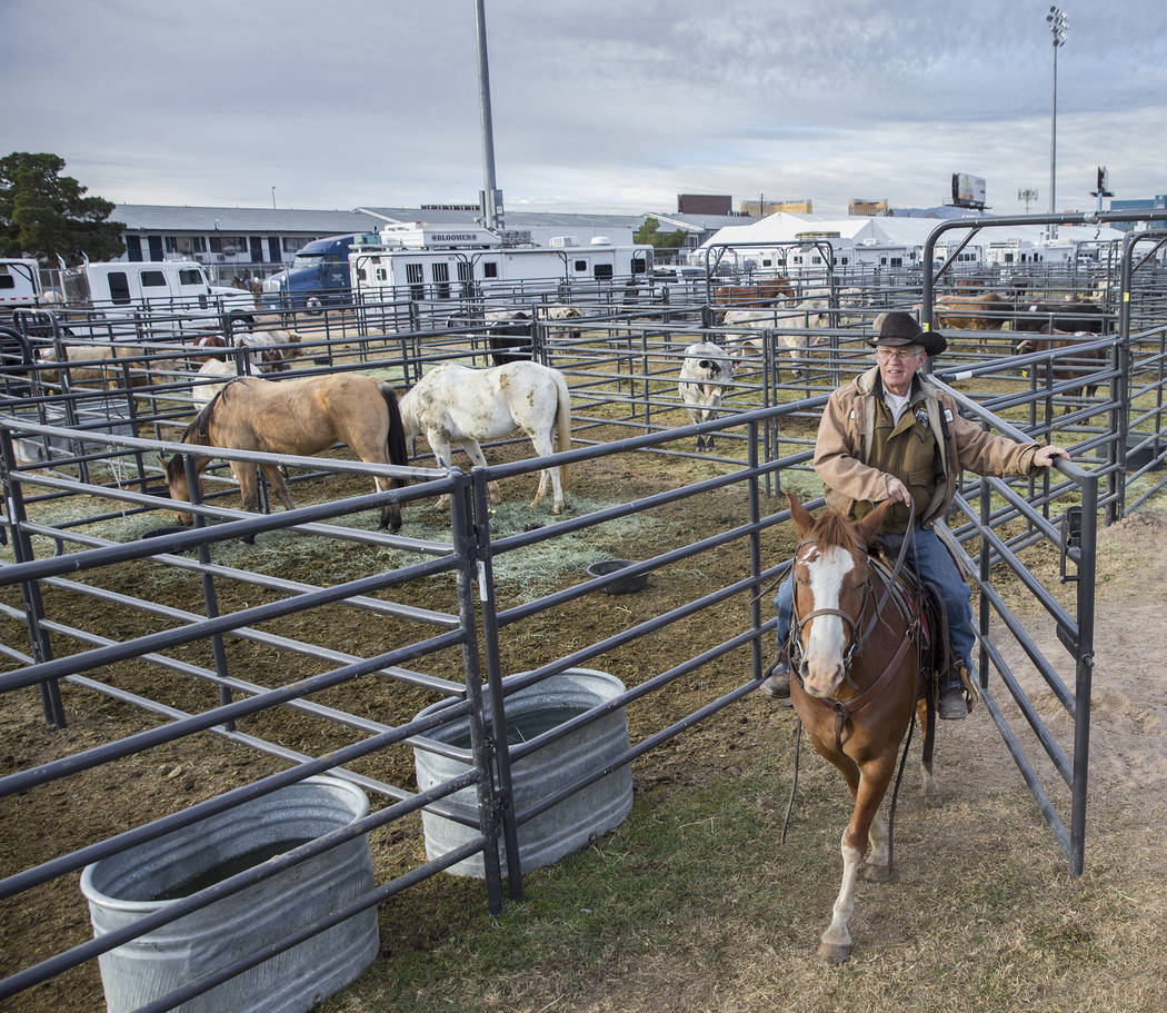 South Texas native Bobby Berger watches over a group of horses on Tuesday, Dec. 4, 2018, at the UNLV Intramural Field, in Las Vegas. Benjamin Hager Las Vegas Review-Journal