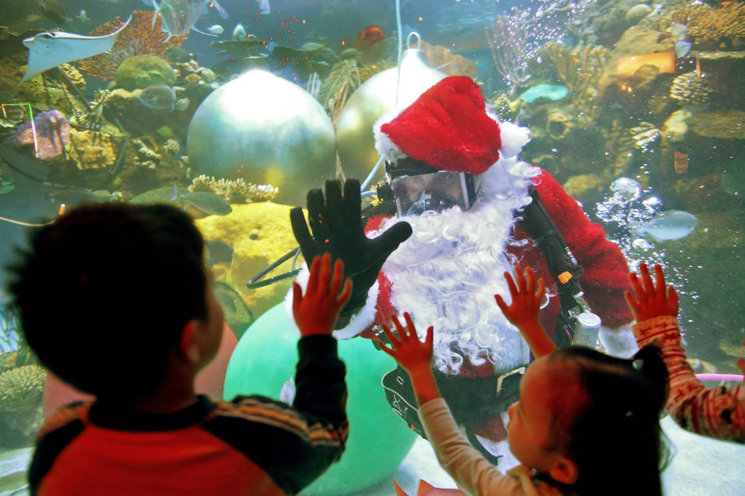 Underwater Santa high-fives William Chaidez, 3, at Silverton hotel and casino in Las Vegas, Sunday, Dec. 2, 2018. He and the Christmas mermaid are in the aquarium every Saturday and Sunday in Dece ...