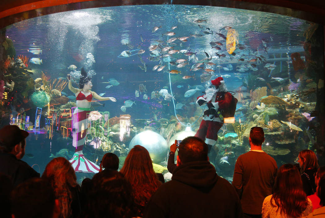 Underwater Santa and the Christmas mermaid greet the crowd at Silverton hotel and casino in Las Vegas, Sunday, Dec. 2, 2018. They are in the aquarium every Saturday and Sunday in December from 12 ...
