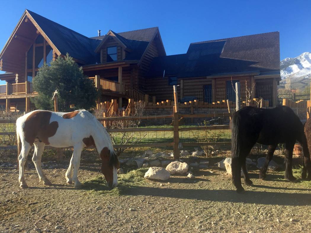Wild horses come to the front of the home. (Mt. Charleston Realty)