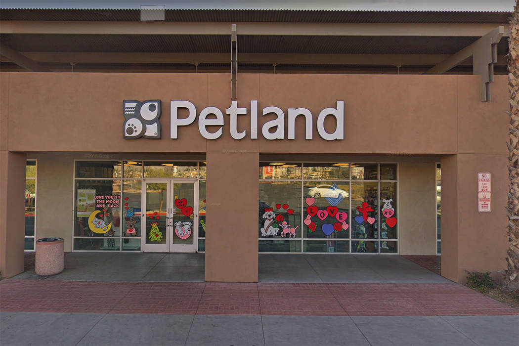 Las Vegas pet shop alleged to have sick puppies, police investigating